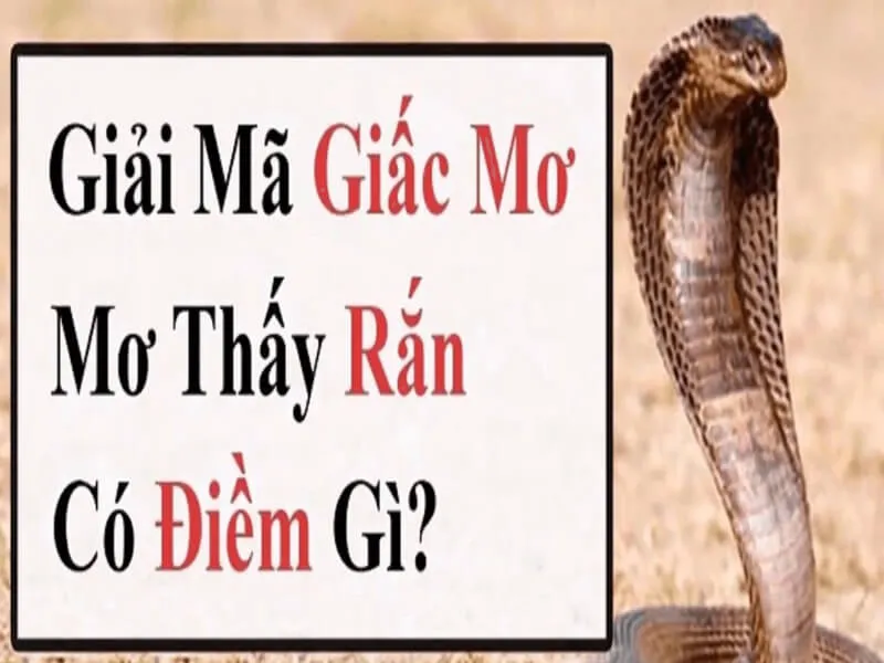 Ý nghĩa của rắn trong cuộc sống đời thường